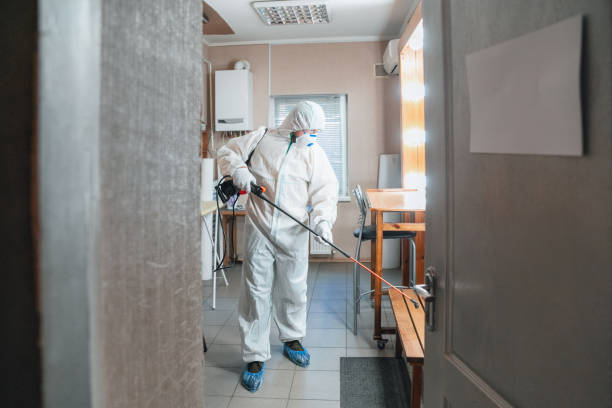 Best Real Estate Mold Inspection  in Brass Castle, NJ