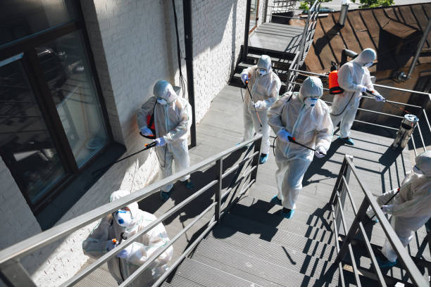 Best Mold Odor Removal Services  in Brass Castle, NJ