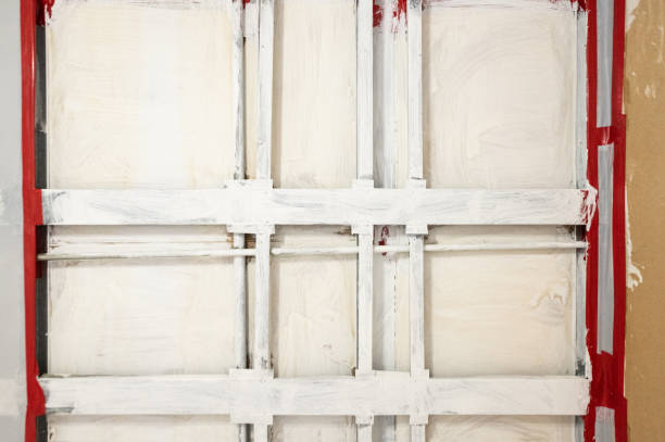 Best Mold Documentation for Insurance Claims  in Brass Castle, NJ