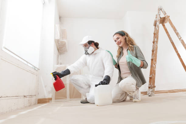 Best Residential Mold Inspection & Testing  in Brass Castle, NJ